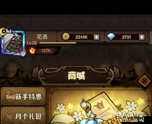 艾尔多战记：掌握神之祝福的终极购物指南