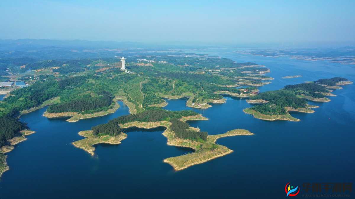 神医秘传：放血疗法全关卡攻略揭秘