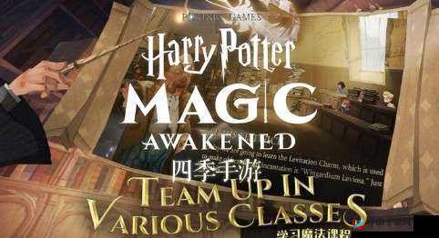 哈利波特魔法觉醒：婚礼筹办完全指南