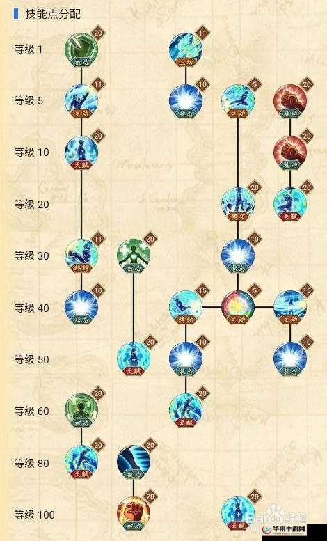 航海王热血航线：马尔高技能深度解析与最优加点策略