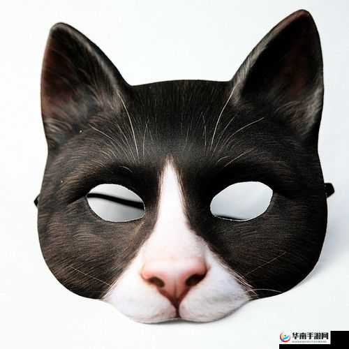 代号假面：隐秘面具下的真相追寻