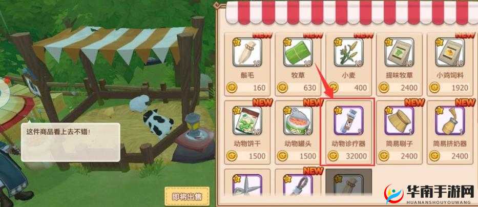 四季物语：动物健康守护指南，病痛治疗全攻略