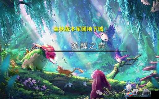 走进神秘的 DNF 魔界，探索未知的奇幻世界