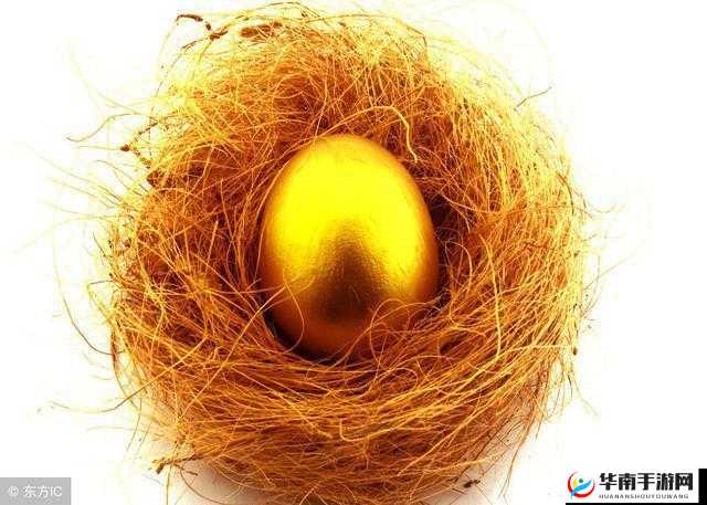 深宫秘宝：老鸡金蛋的奇效解析