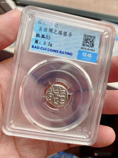 冰原守卫者古银币的作用及价值全方位解析