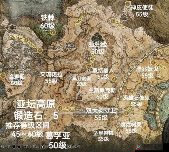 艾尔登法环全绘画地点探索指南：艺术之境地图揭秘