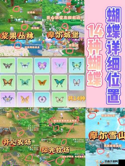 摩尔庄园蝴蝶捕捉攻略：地点大全及捕捉技巧分享