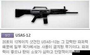 《全民枪王》中的USAS 12散弹枪全方位属性与功能深度解析