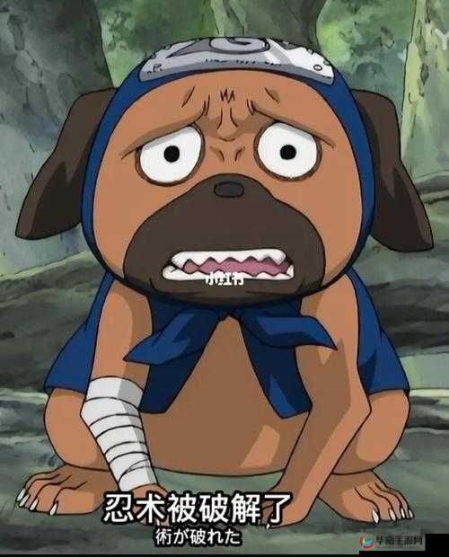 最合适的通灵兽推荐及卡卡西PVP实战能力评测