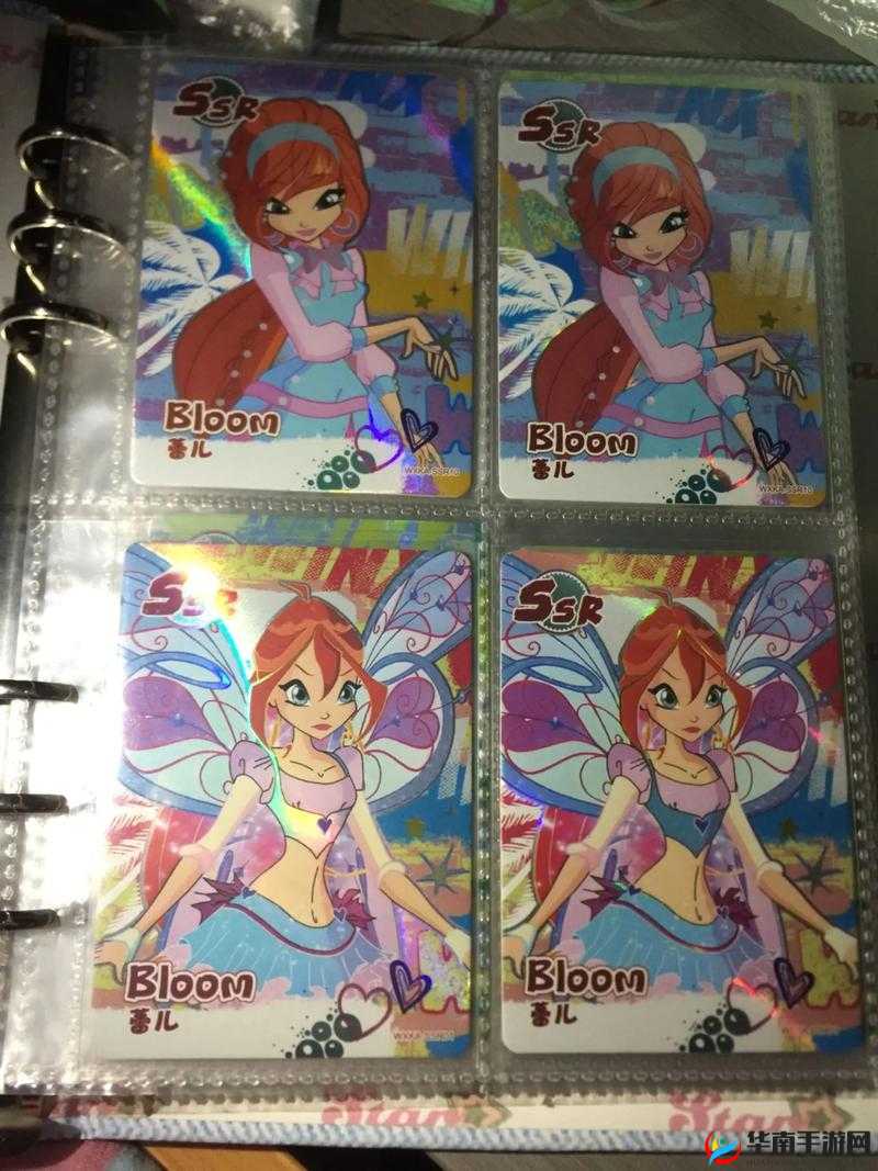 如何获取创造与魔法中的沙猪 详细攻略与技巧分享