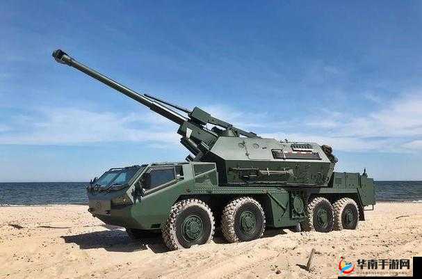 3D坦克争霸：D系5级轻坦详解，轻装上阵，领略威力无穷