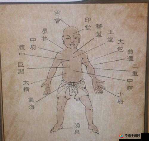 探寻侠客风云传隐藏人物选择的奥秘