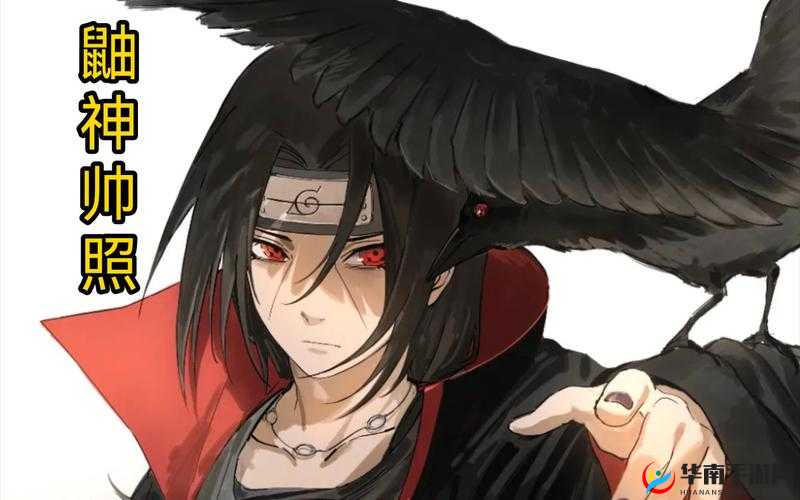 决斗场实用忍者排行榜揭秘：宇智波鼬并非首位霸主