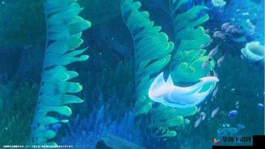 原神：探索神秘海域，开启远航之旅
