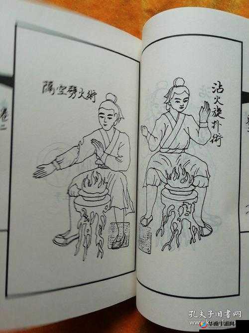 《阴阳：武学秘籍之秘境探索》