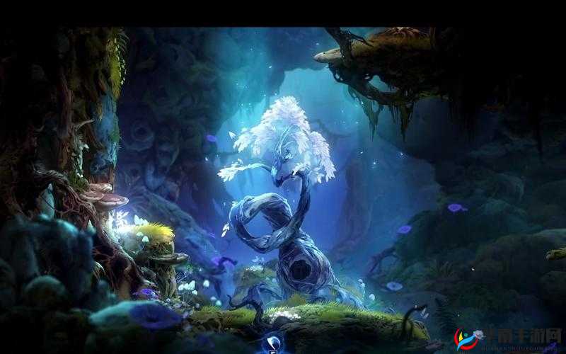 奥日与萤火意志：全面攻略，解锁全支线任务秘籍