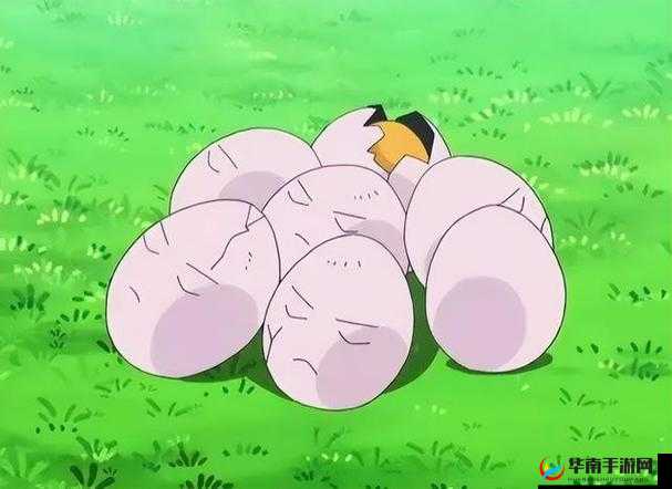 椰蛋树技能与宾果搭配：宝可梦大探险最强热带风情攻略