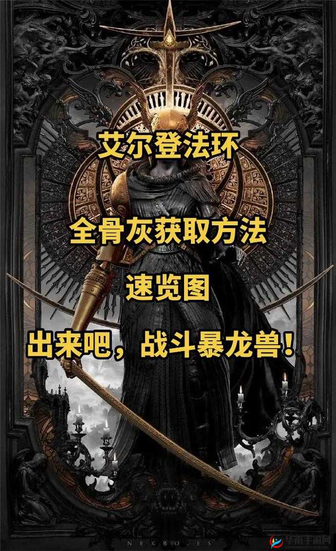 艾尔登法环：骨灰进化秘籍，强化全面指南