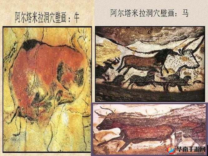 亡者之花战术解析：掌握我的起源中的独特战斗艺术