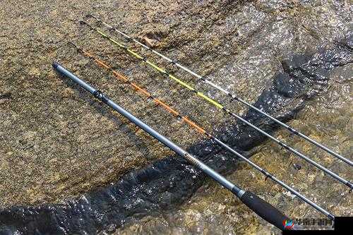 诺加尔德全鱼竿获取指南：神秘水域的垂钓之旅