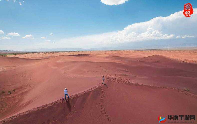 侠客风云传：道德沦丧之路——揭秘降低道德值秘籍