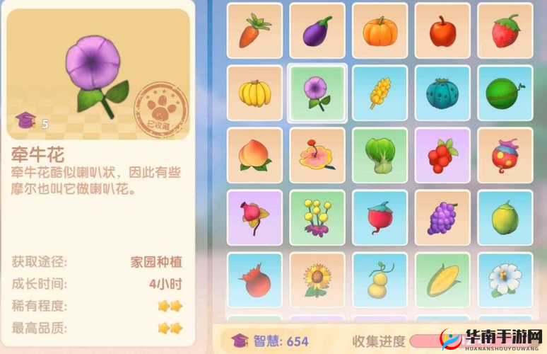 摩尔庄园手游牵牛花获取秘籍大揭秘