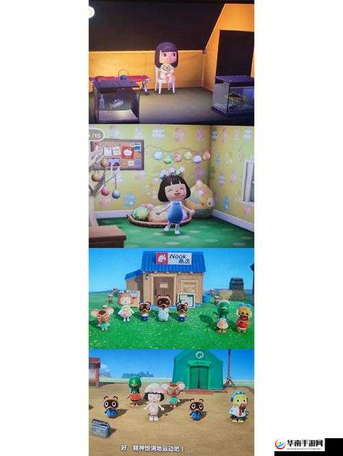 集合啦动物森友会：蹦蹦不倒翁获得指南