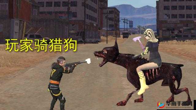 和平精英：轻松获得宠物狗，揭秘猎犬获取方式