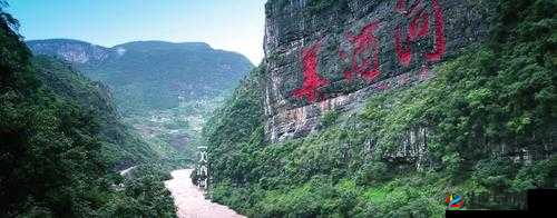 遇见逆水寒：合美酒赠英雄，谁将成为你的最佳酒友？美酒作用深度解析