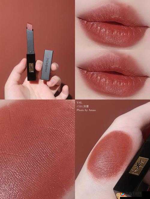 ysl 蜜桃棕调色视频教程及技巧分享