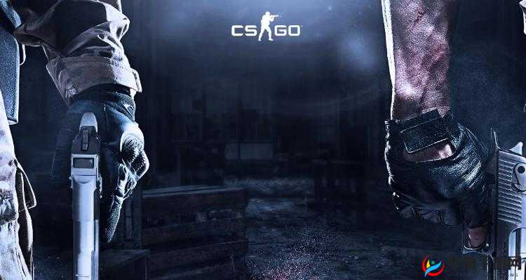 CSGO 高清大片震撼来袭