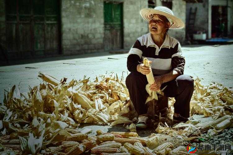 中国大但人文艺术-摄影之美