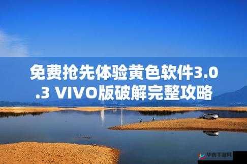 3.0.3 免费 vivo 版破解大全及相关资源汇总