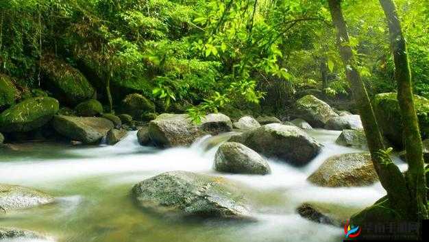两峰夹小溪地湿又无泥诗的含义是什么之探究