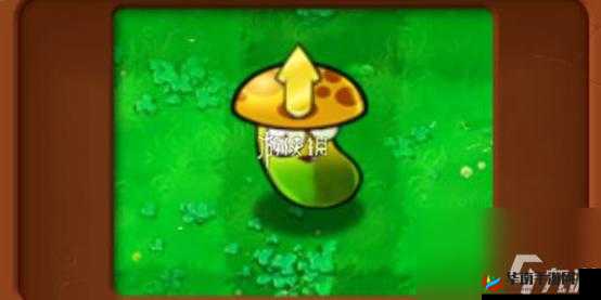 植物大战僵尸杂交版医用咖啡豆怎么样：很有趣