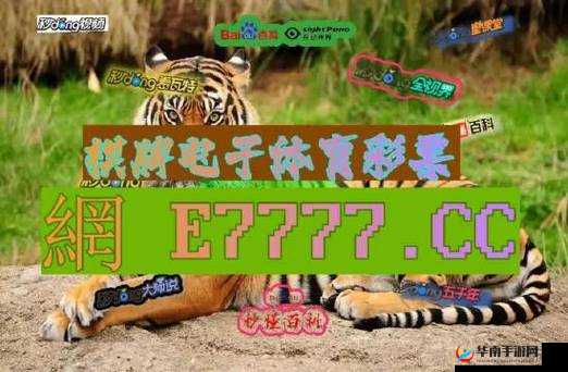 51CG10 吃瓜-爆料永利背后的真相