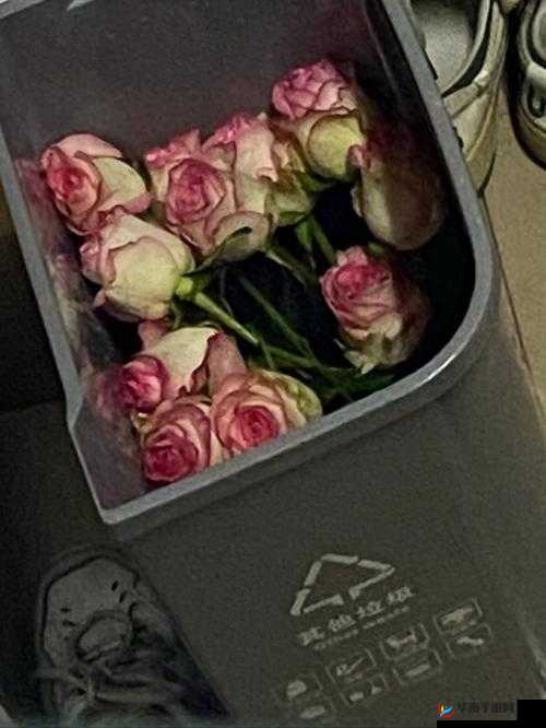 室友突然长出花 CUE 怎么办：突发状况如何应对