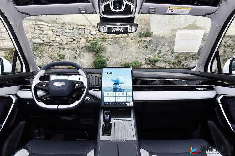 大香煮 2024 相关精彩内容呈现