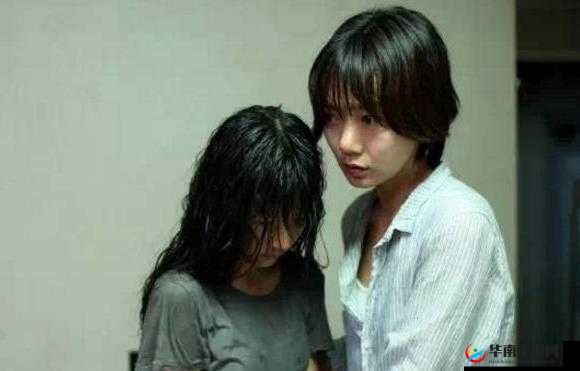 青春禁区视频在线观看：精彩内容不容错过