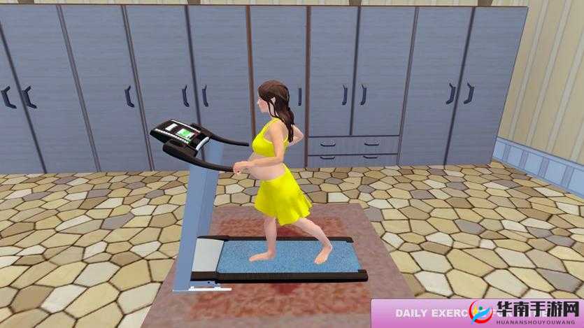 WINDOWSCHANNEL孕妇 3D：相关介绍