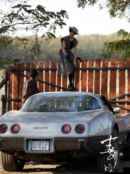 喜宝坐公交 TXT ：一段别样的旅途故事