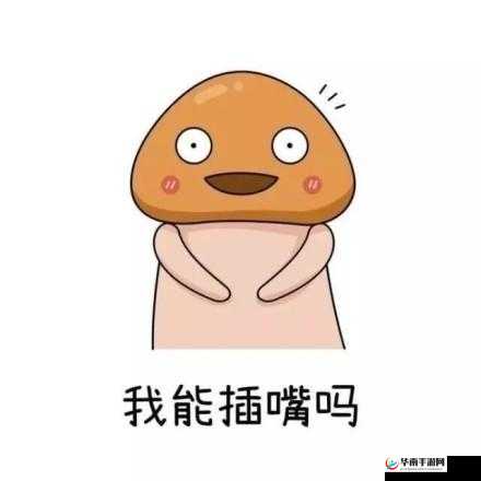 我可以插嘴吗无怎么看：关于插嘴的思考探讨