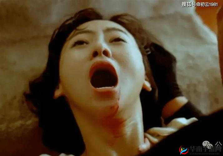 1982 年肉莲花：舞动的记忆