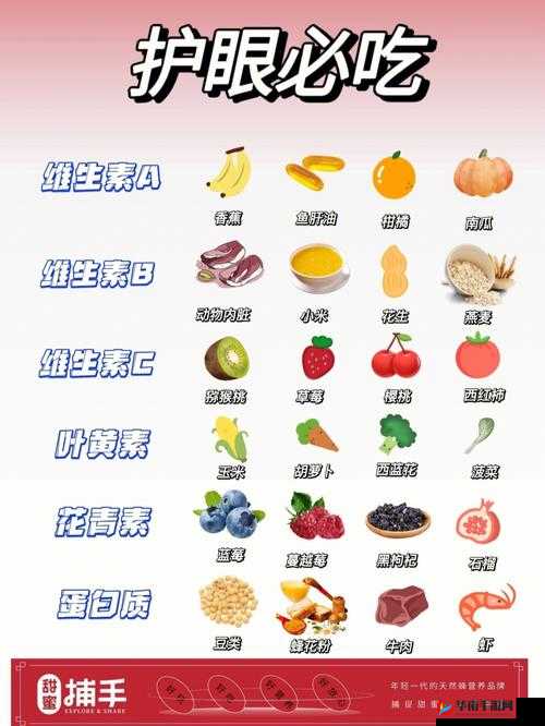 rop 第 6 章第 6 关通关秘籍 详细过关方法介绍与技巧分享