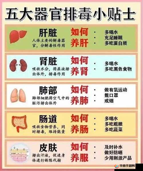 顶级村医：第五章排毒要吸：探索神奇的排毒方法