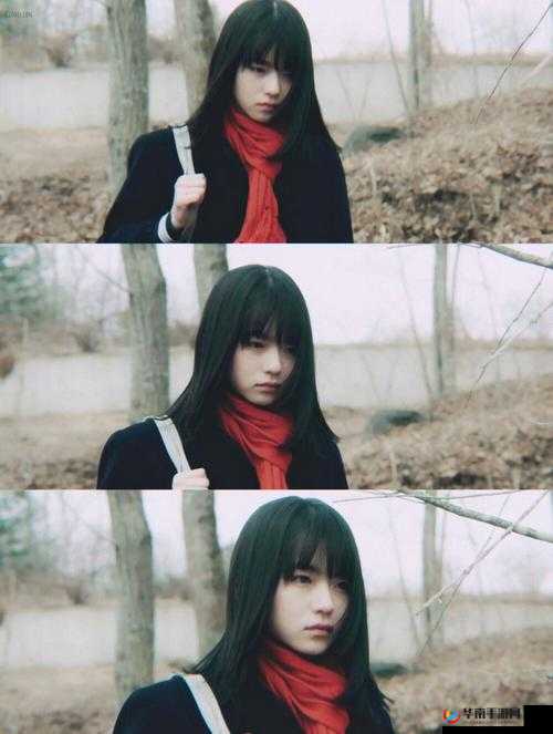 日本电影三叶草的春天：治愈心灵之旅