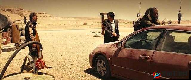 老狼在无人区的表现如何：探寻其生存之道