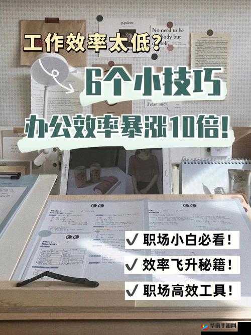 成全视频观看：高效技巧与方法大全