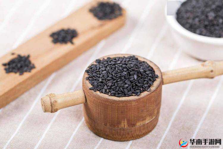 国精产品 W灬源码 1688 养生：传统与现代的完美结合