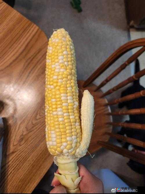 秋葵茄子丝瓜香瓜榴莲大全：蔬果集合